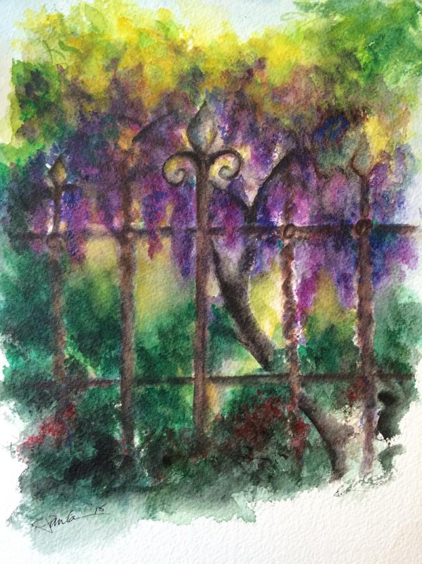 Wisteria