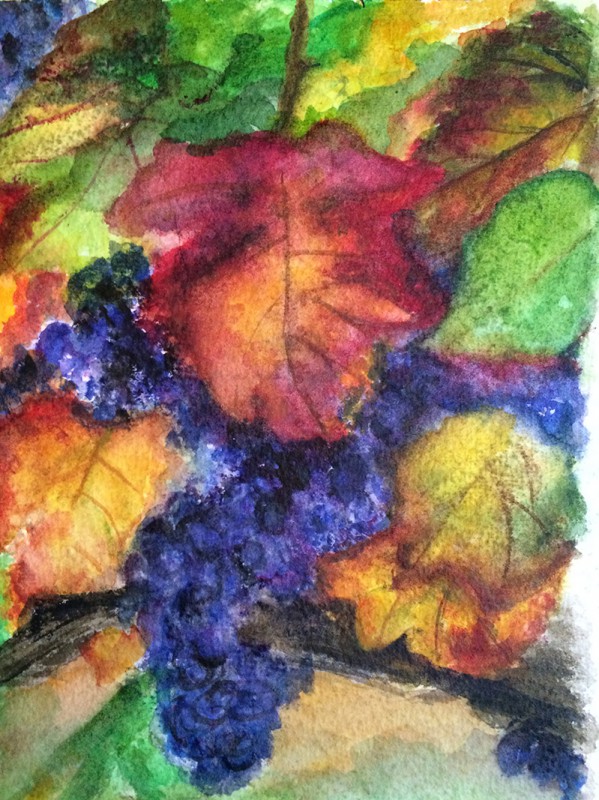 Napa Fall