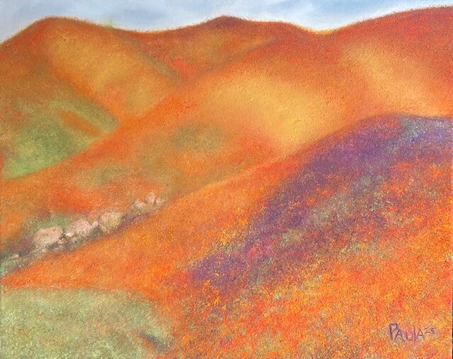 Orange CA Super Bloom