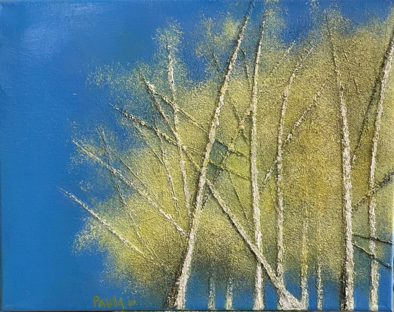 Spring Aspens