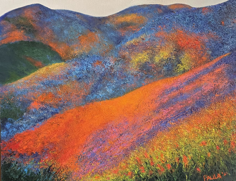 CA Super Bloom